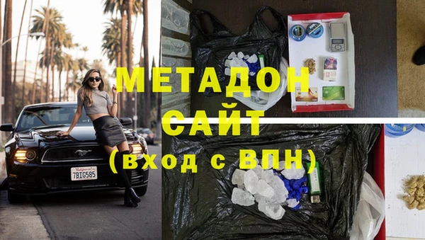 шишки Тайга