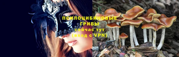 гидра Тавда