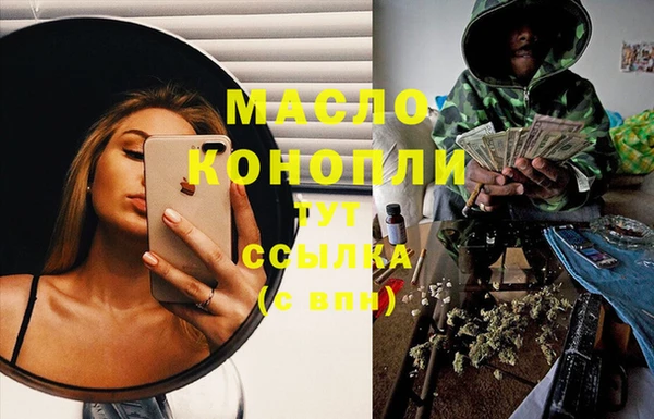 индика Сясьстрой